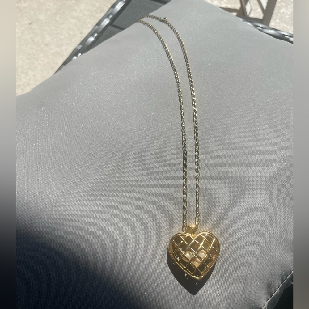 Hearn necklace with long chain